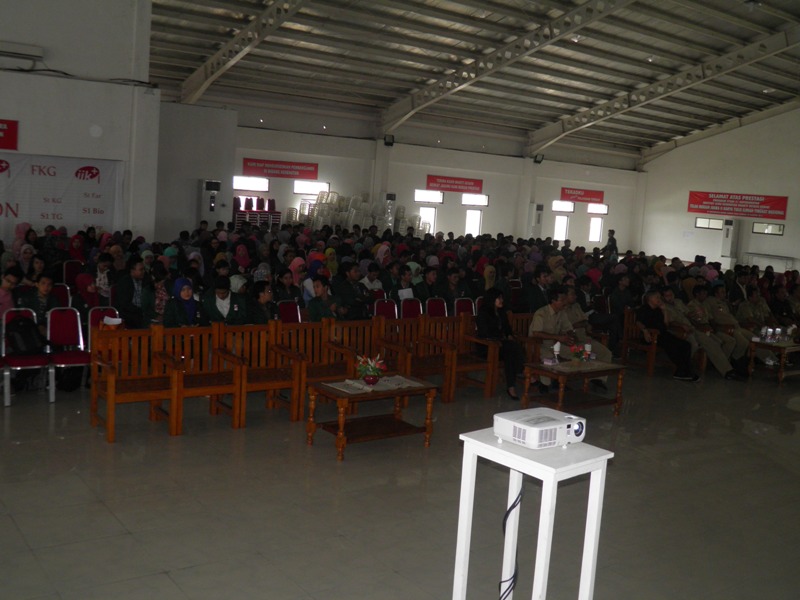 kkn 2